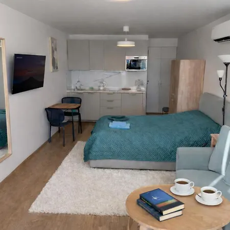 Mindaugo Apartamentai Su Sildomu Baseinu, Sporto Sale, Vaiku Kambariu, Work Zona Apartment
