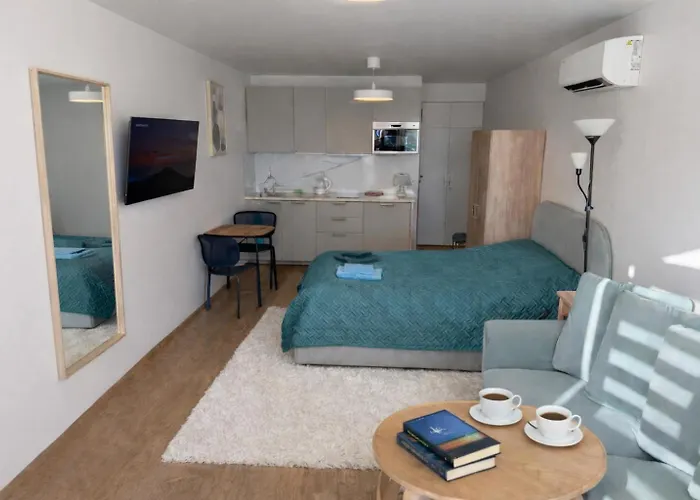 Mindaugo Apartamentai Su Sildomu Baseinu, Sporto Sale, Vaiku Kambariu, Work Zona アパート